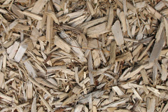 biomass boilers Adgestone